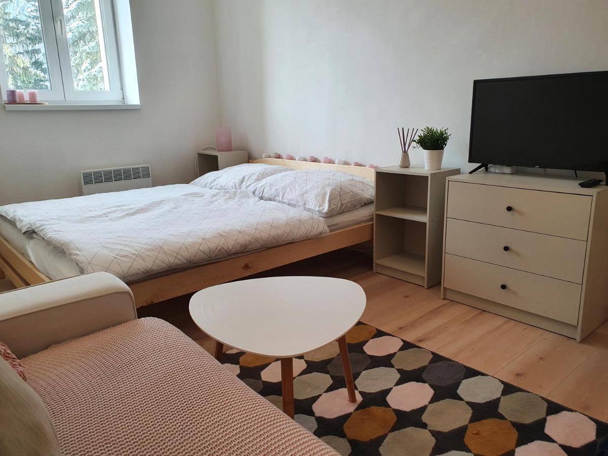 Apartmany Brachovna Mikulov v Krusnych Horach 外观 照片